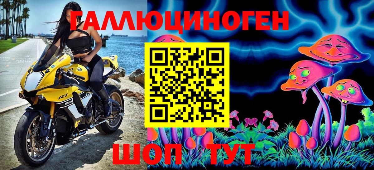 Волжск  что такое   Вход с VPN  Псилоцибиновые грибы MAGIC MUSHROOMS 