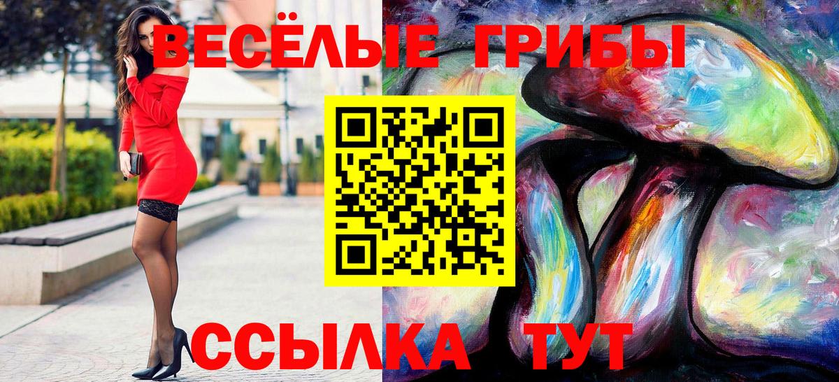 Псилоцибиновые грибы прущие грибы Волжск